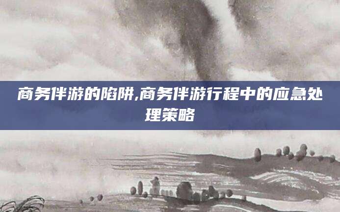武穴商务伴游的陷阱,商务伴游行程中的应急处理策略